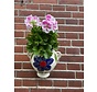 Hangpot Flor Mogan Azul