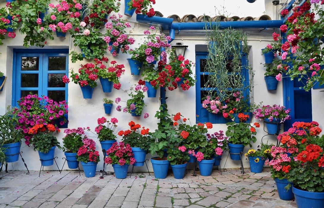 Spanish flowerpots