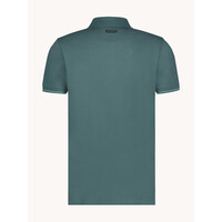 A Fish Named Fred AFNF Polo Fabric Dye 99.3001 Forest Green 311