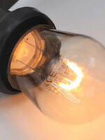 Amlux Gebogen LED Filament lamp 1W - transparant - 2200K