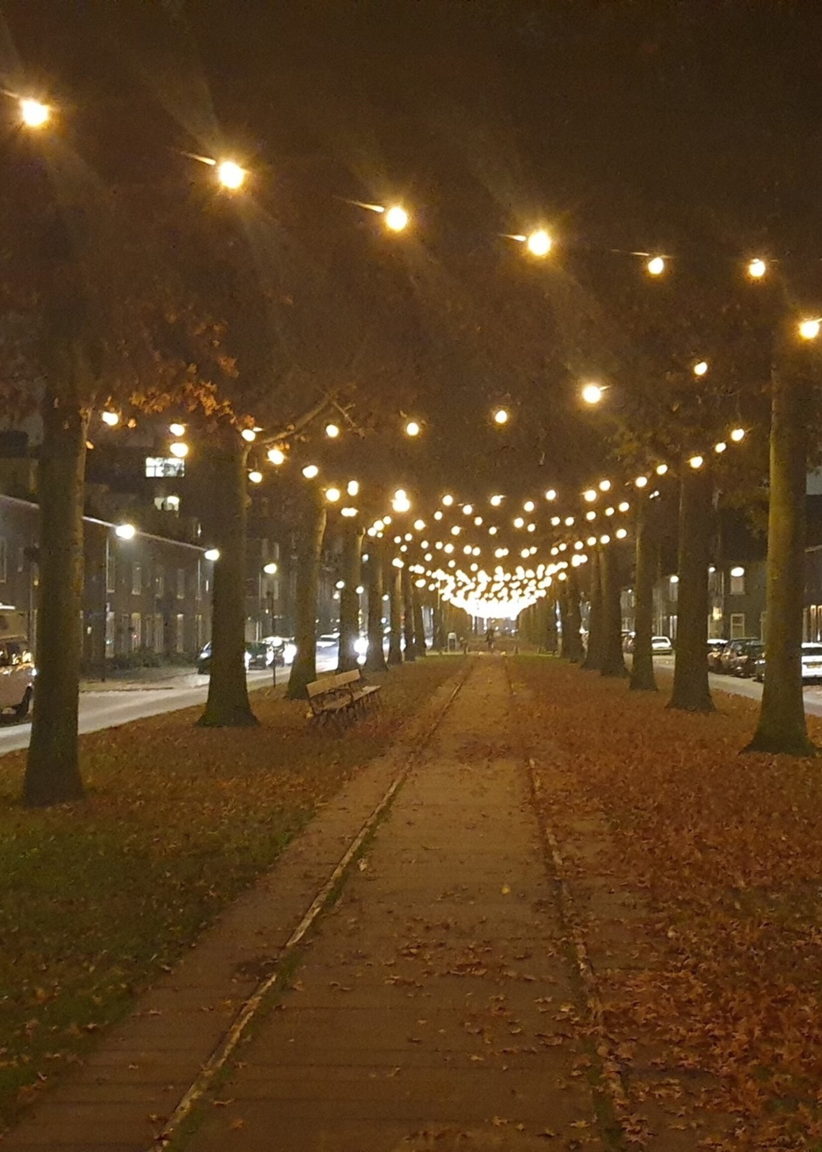 LED kogellamp - 1W - warm wit - matte kap - E27 2700K