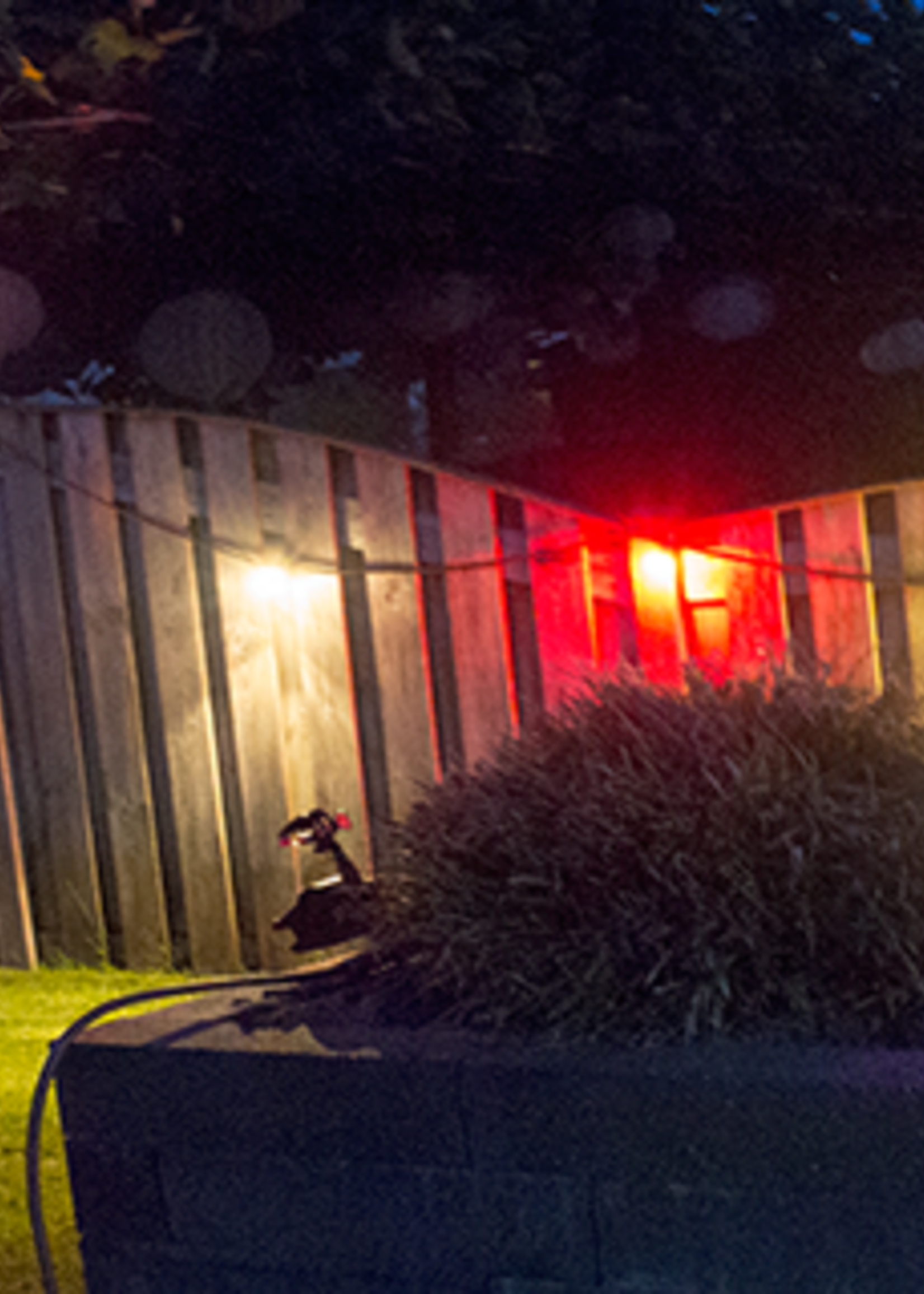 Amlux prikkabel - 100 meter met 100 LED lampen  (7 kleuren)