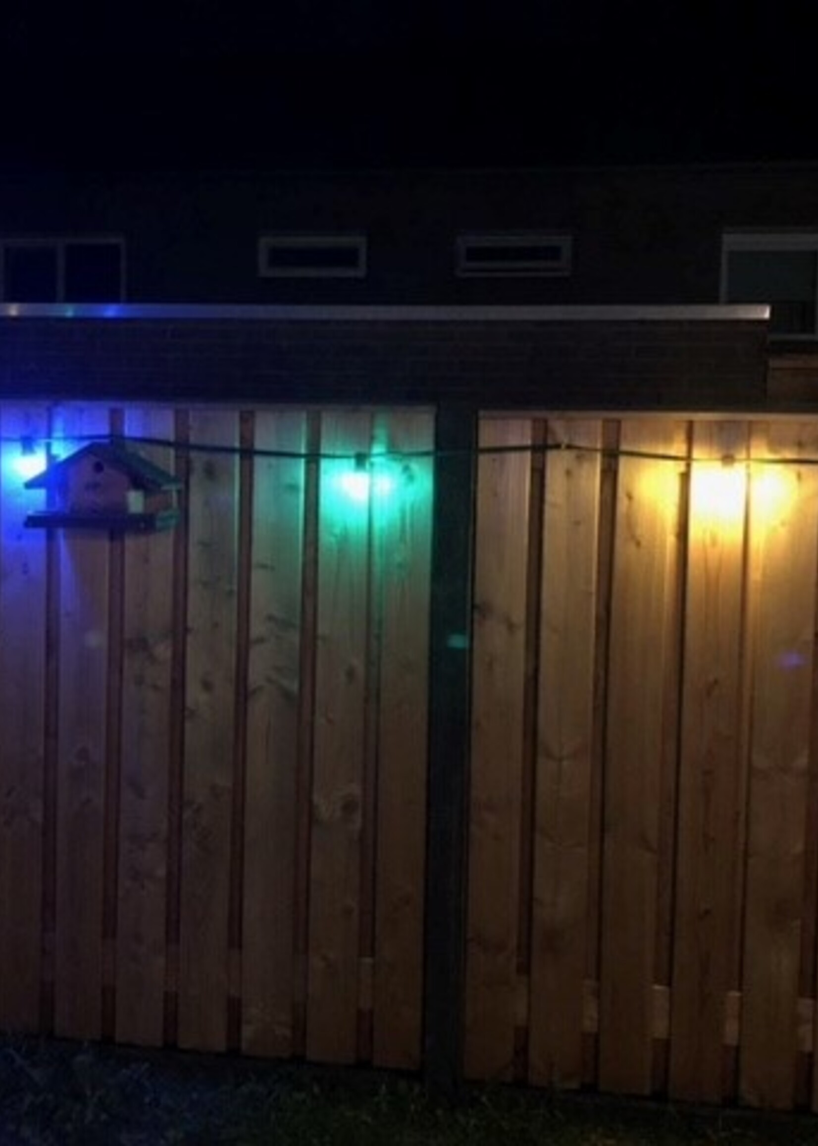 Amlux Set 40 gekleurde LED lampen - 5 kleuren