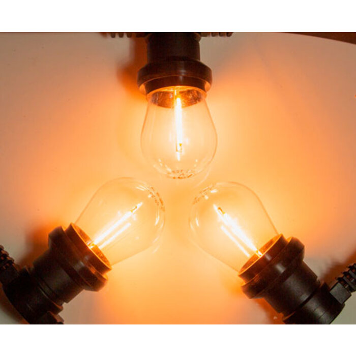Amlux Prikkabelset 10 meter met 20  filament LED lampen