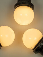 Amlux Zwarte Prikkabel 5 meter 10 Lampen met melkwitte kap - 1W