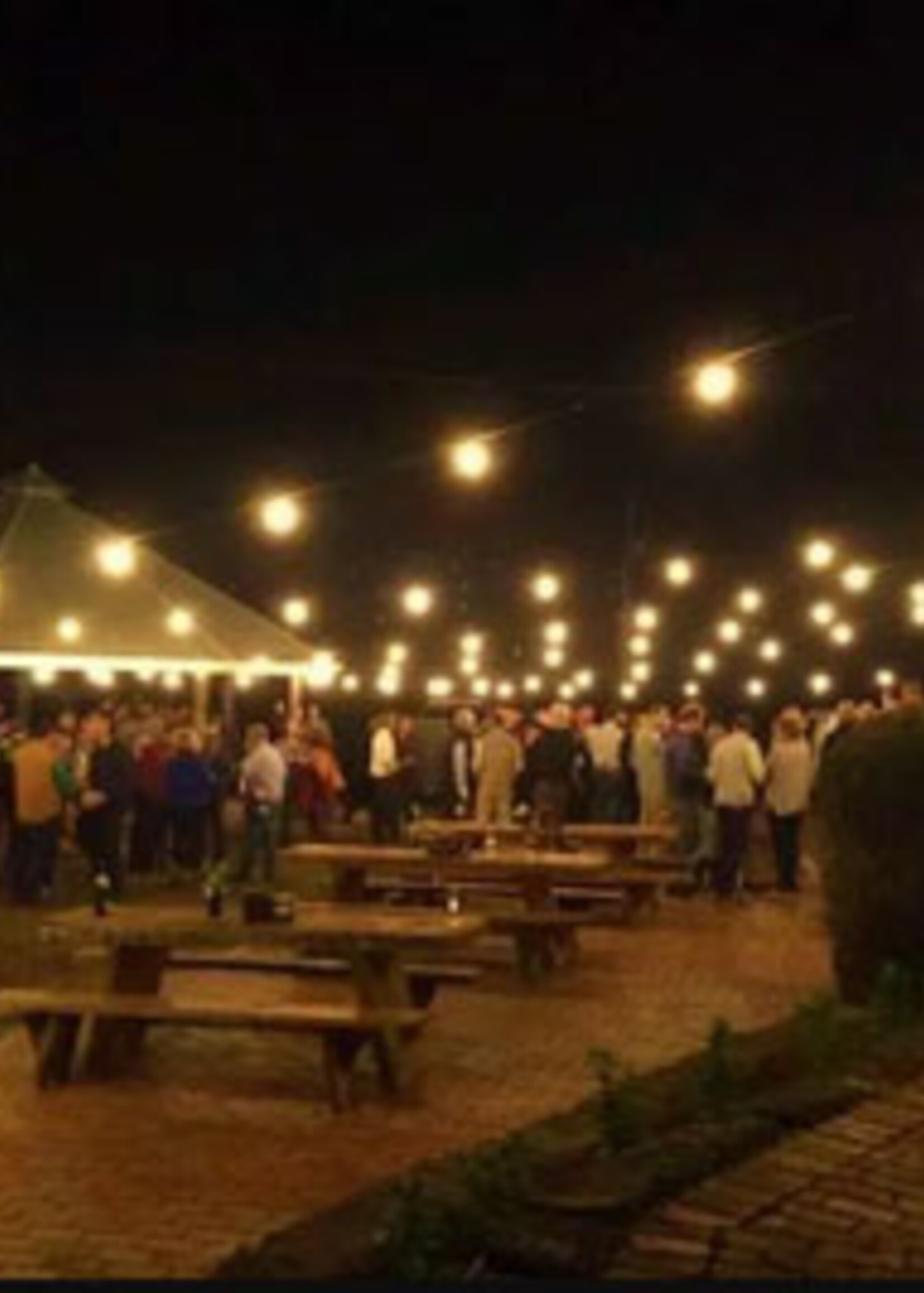 Amlux Zwarte Prikkabel 5M 10 Lampen met melkwitte kap  -  E27