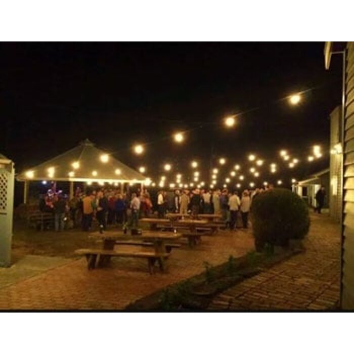 Amlux Koppelbare prikkabel set 25 meter 25 Lampen met transparante kap