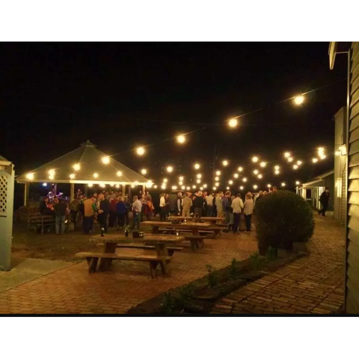 LED kogellamp - 2W - extra warm wit - matte kap - E27 2200K - Dimbaar