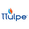 TTulpe