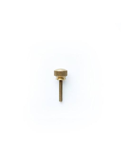 Mirror Adjustment Screw (Large) B500213-02