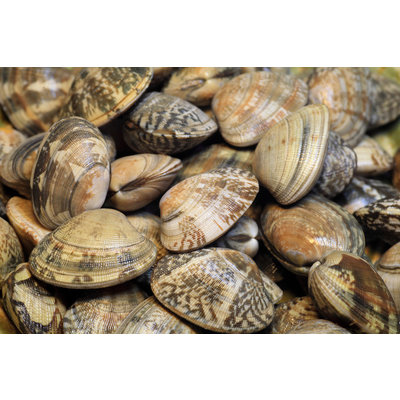 Nuestros Mariscos