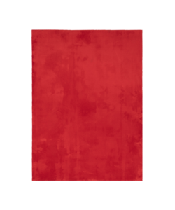 Waschbarer Teppich - Vivid Rot