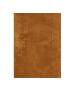 Waschbarer Teppich - Vivid Terrakotta