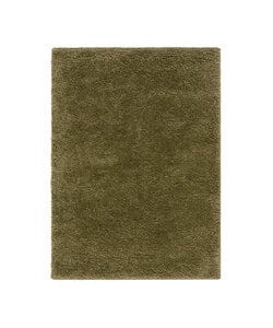 Teppich Hochflor - Wish Grün 