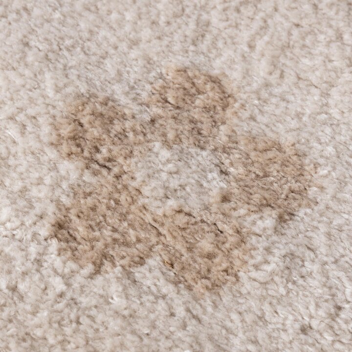 Waschbarer Kinderteppich - Moos Flower Creme