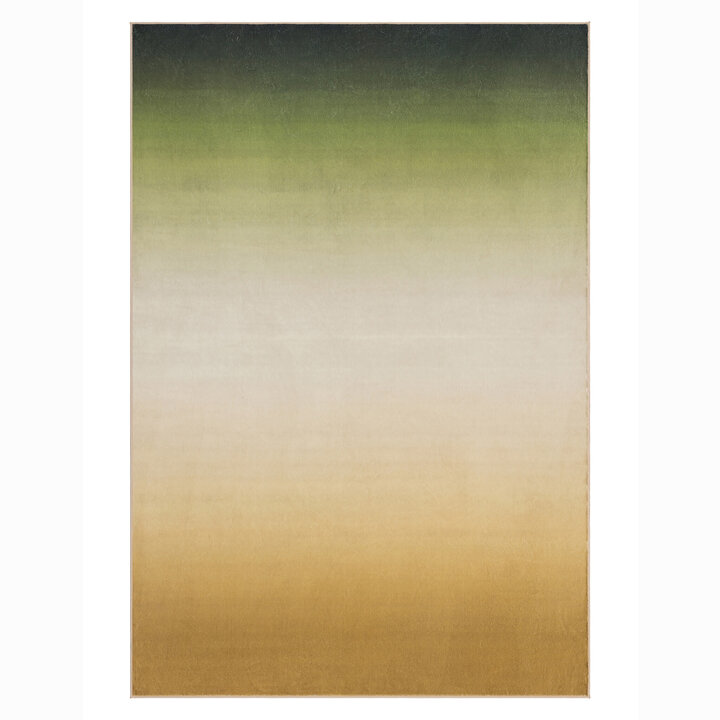 Moderner Teppich - Clarke Fade Grün