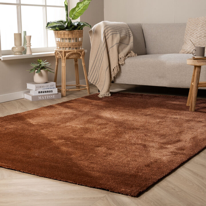 Waschbarer Teppich - Clean Rost