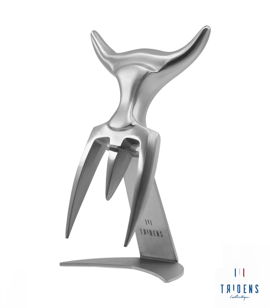 Tridens Brushed Fork in stainless steel holder