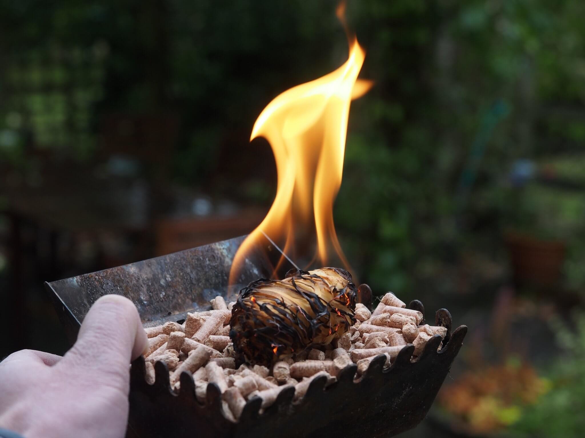 Ooni Premium natuurlijke Firestarters - Ca. 50 stuks