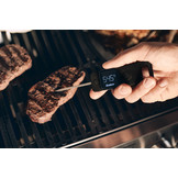 Enders Premium insteekthermometer