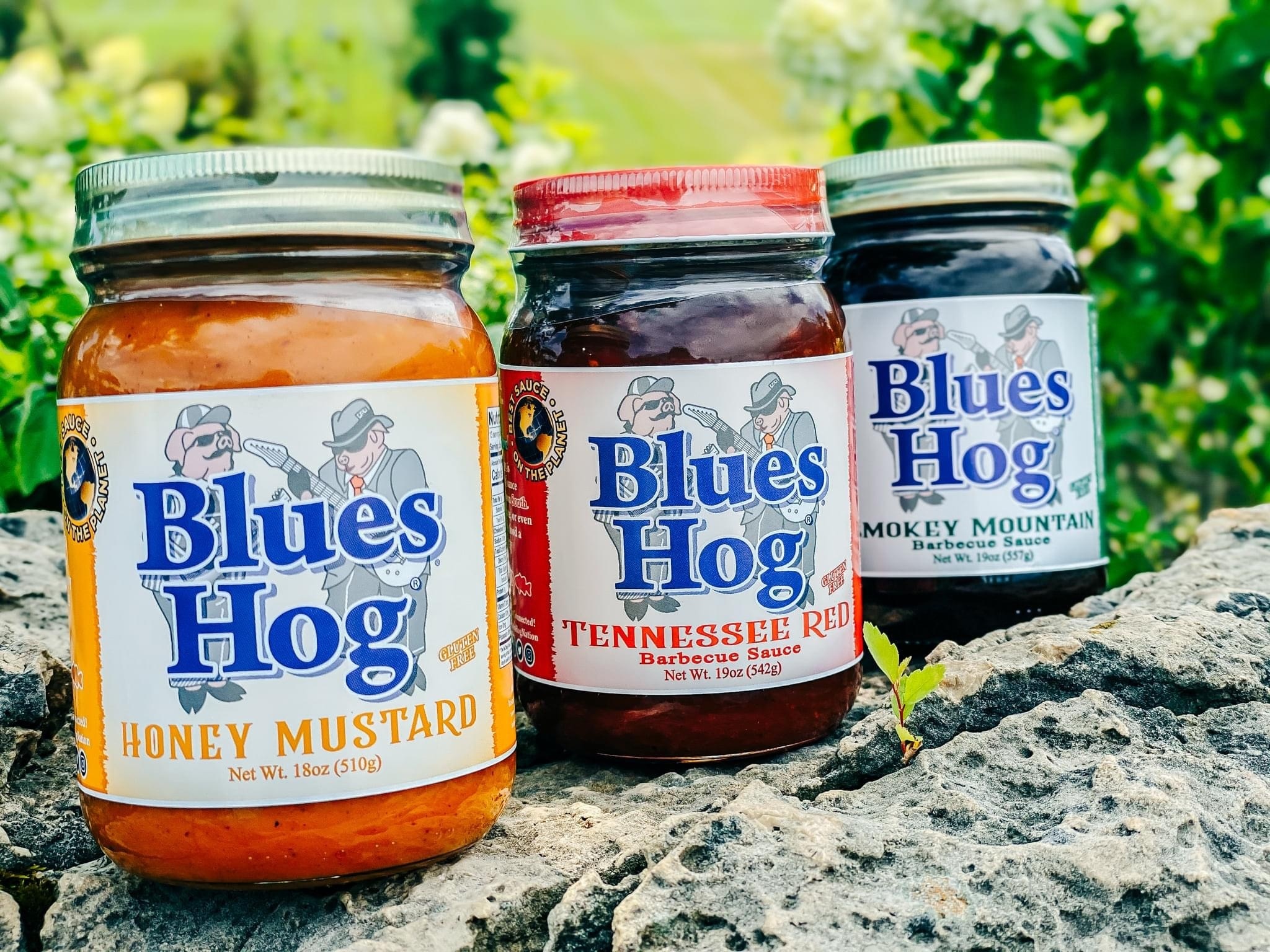 Blues Hog Honey Mustard Sauce 562 ml BBQtime.nl