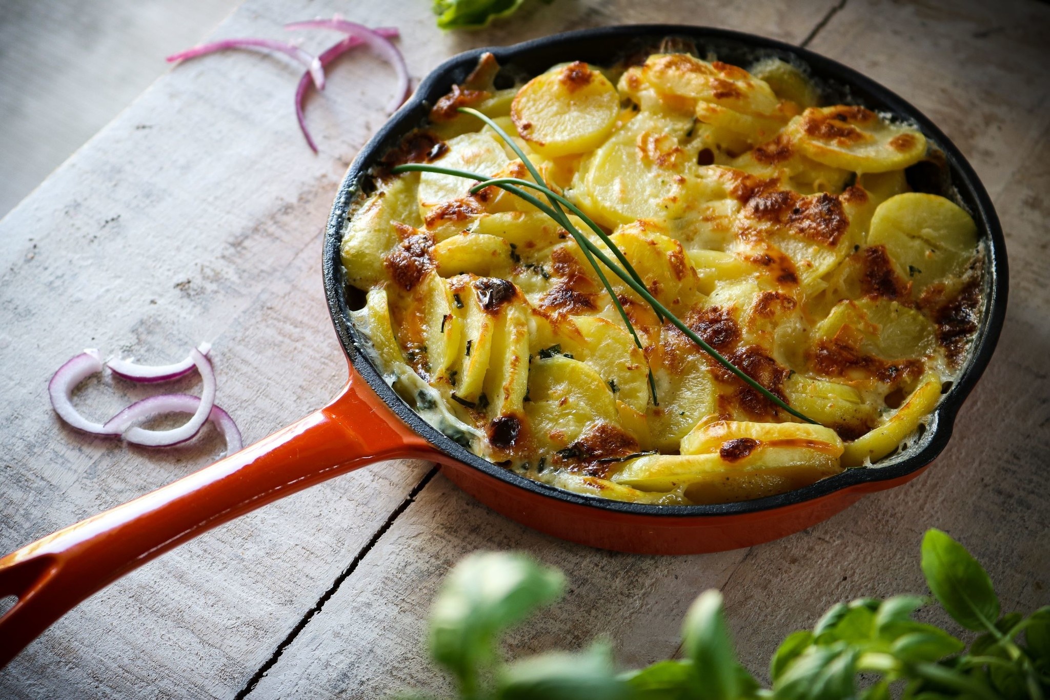 The Windmill Premium Emaille Skillet Regular