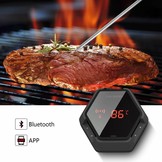 INKBIRD IBT-6XS Bluetooth Thermometer