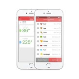 INKBIRD IBT-6XS Bluetooth Thermometer