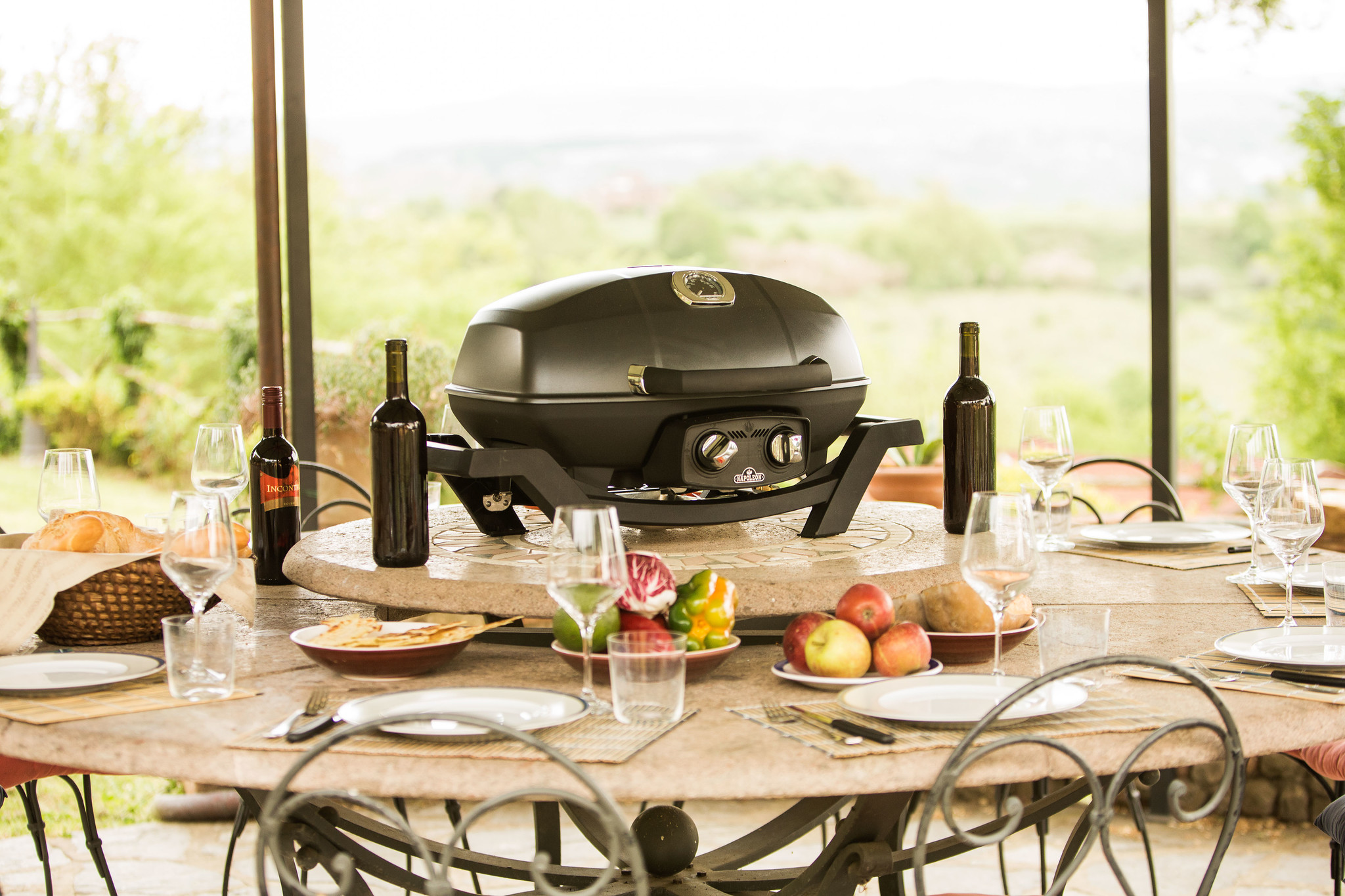 Napoleon TravelQ PRO285 Gasbarbecue
