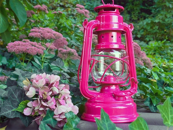 Feuerhand Stormlamp 276 Magenta