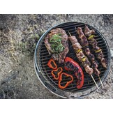 Petromax Atago Houtskool Barbecue en Vuurschaal