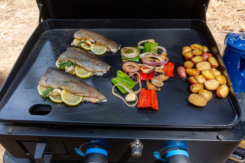 Pit Boss 2-pits Ultimate Lift-Off Plancha Gas Barbecue