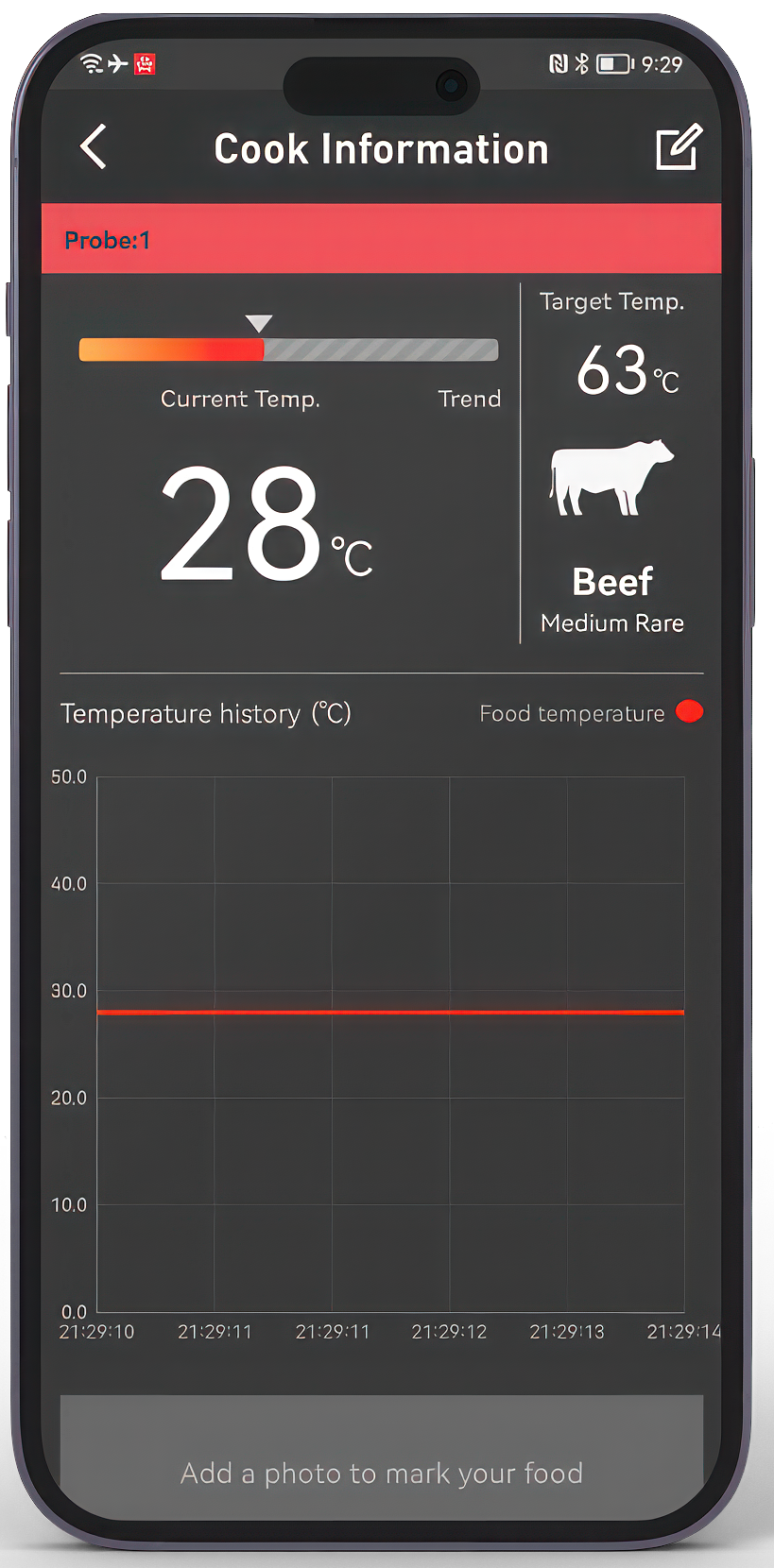 HerQs Professional Digitale Thermometer