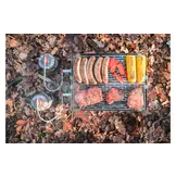 Skotti Grill Max - Opvouwbare gasbarbecue incl. tas