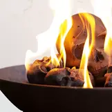 Formkohlen Doodskop briketten 15 stuks