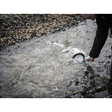 Petromax Smeedijzeren Koekenpan 20cm