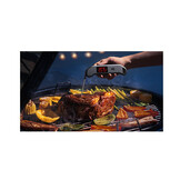 ThermoMaven F1 Stealth thermometer