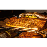 Typhur Sync Quad draadloze thermometer