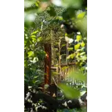 Stoked Braai Premium