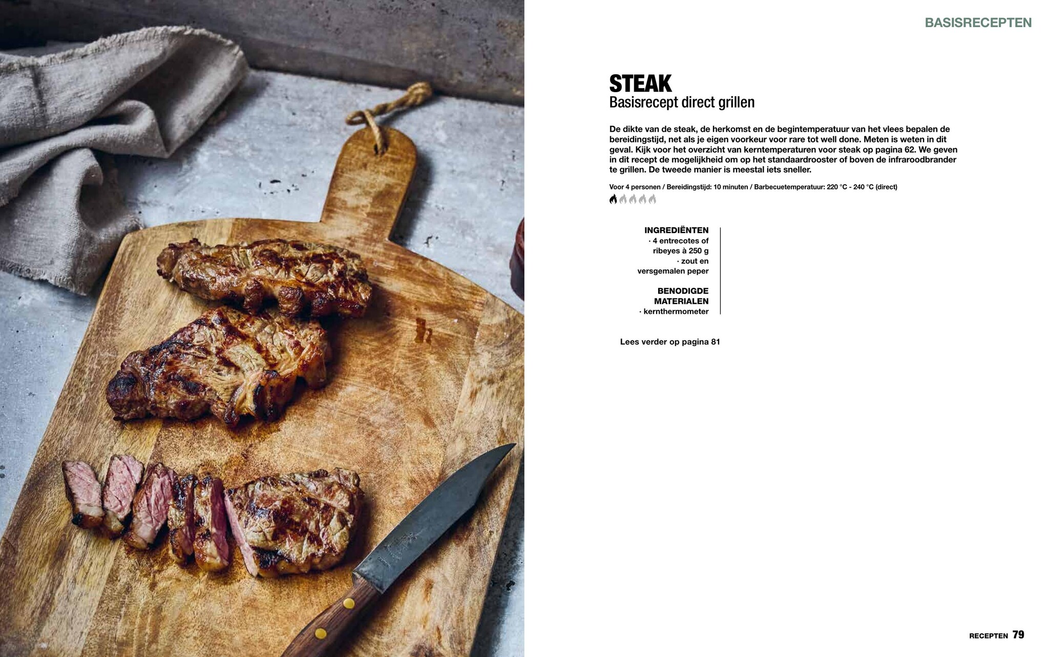 Het Ultieme GasBBQ Boek