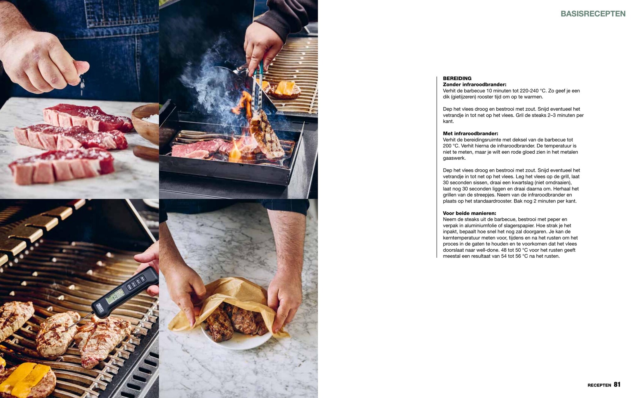 Het Ultieme GasBBQ Boek