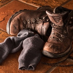 Introducing: A new line of socks