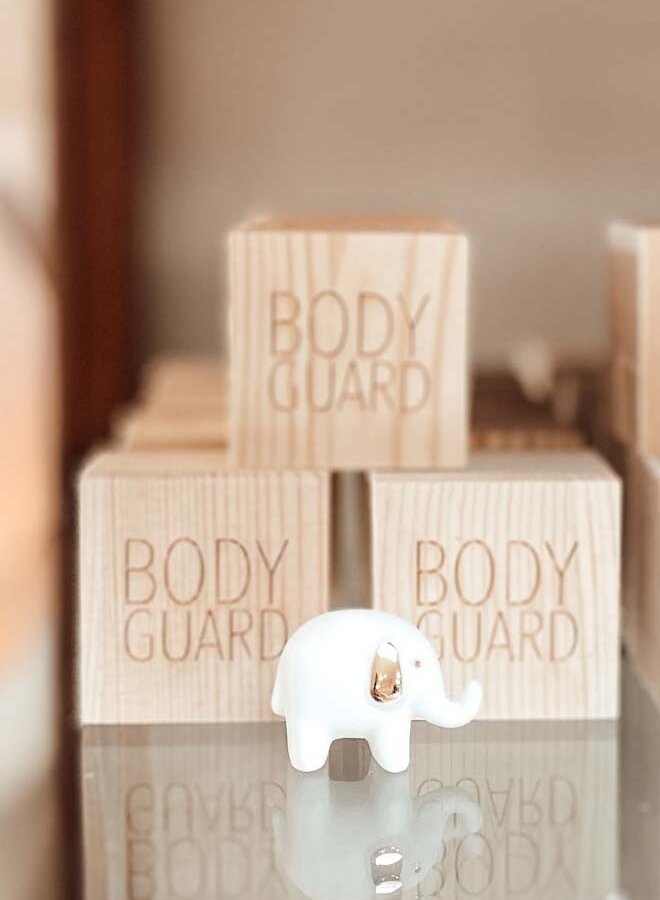 Lucky Box | Wensdoosje Olifant - Bodyguard