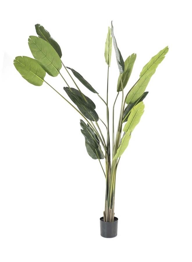 Kunstplant Strelitzia 220 cm