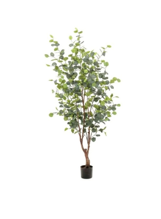 Eucalyptus Kunstboom 140cm