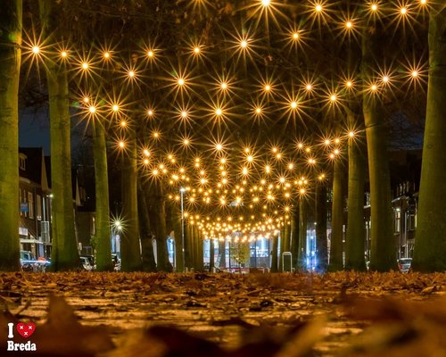 Belcrum viert - 8x 100 meter met 800 0,7W 2000K lampen