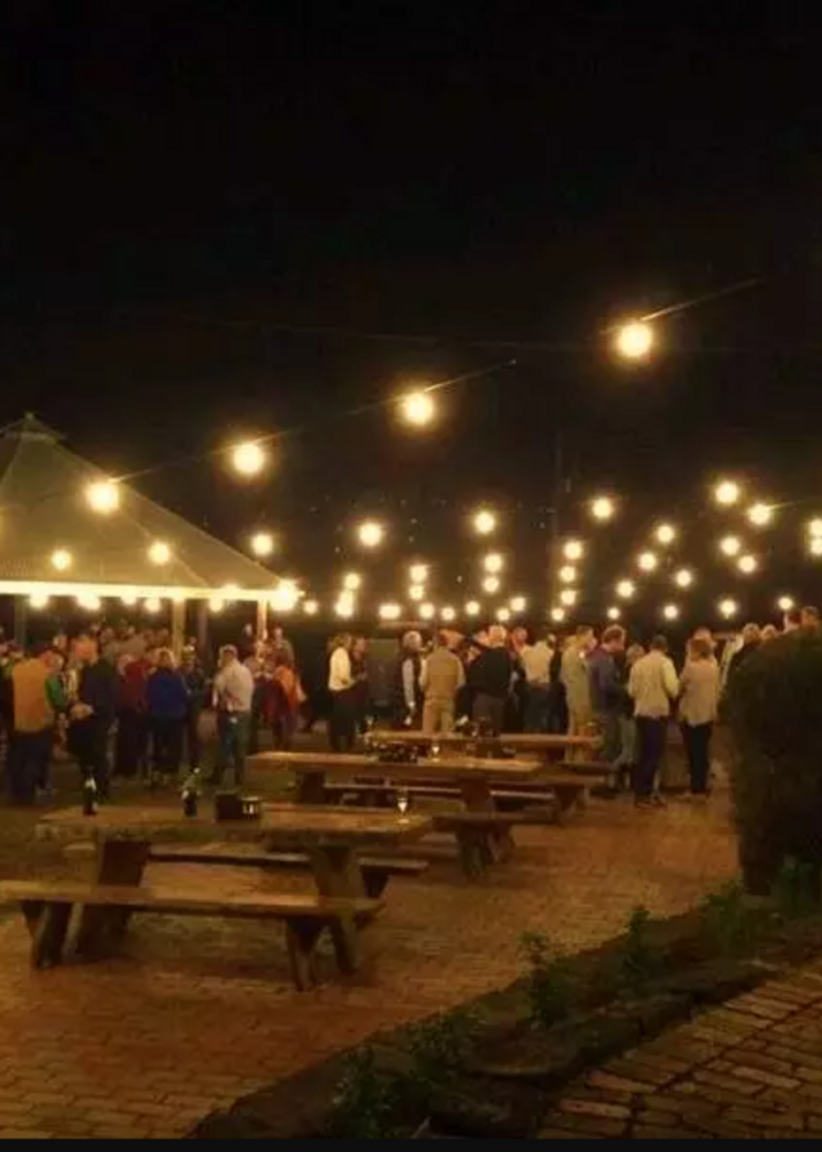 Amlux LED Filament kogellamp 1W - transparant - 2200K