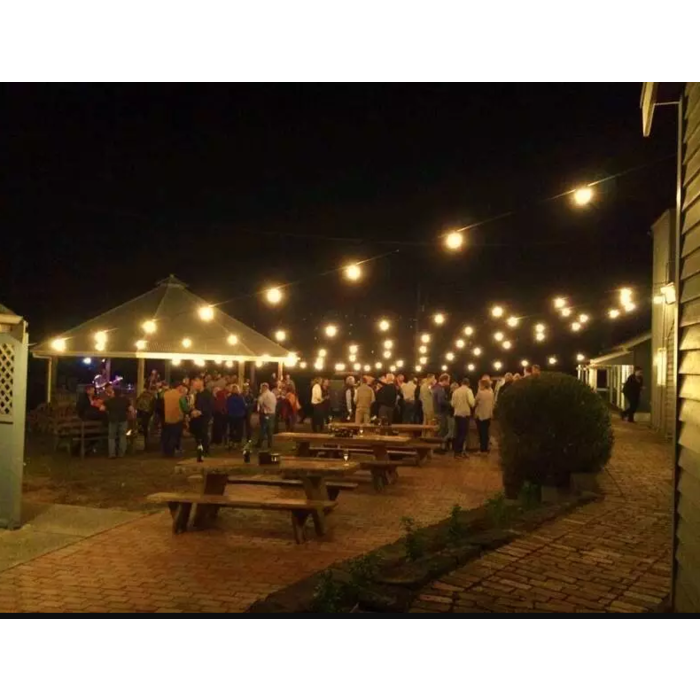 Amlux LED Filament kogellamp 1W - transparant - 2200K