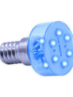 Verlichtingpaleis E14 - LED lamp blauw