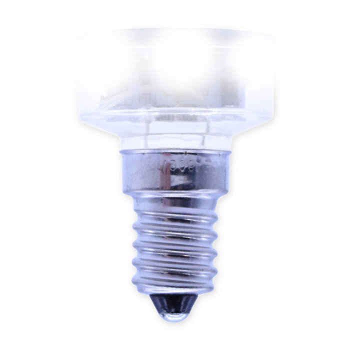 Verlichtingpaleis E14 - LED lamp koud wit  voor kermisverlichting